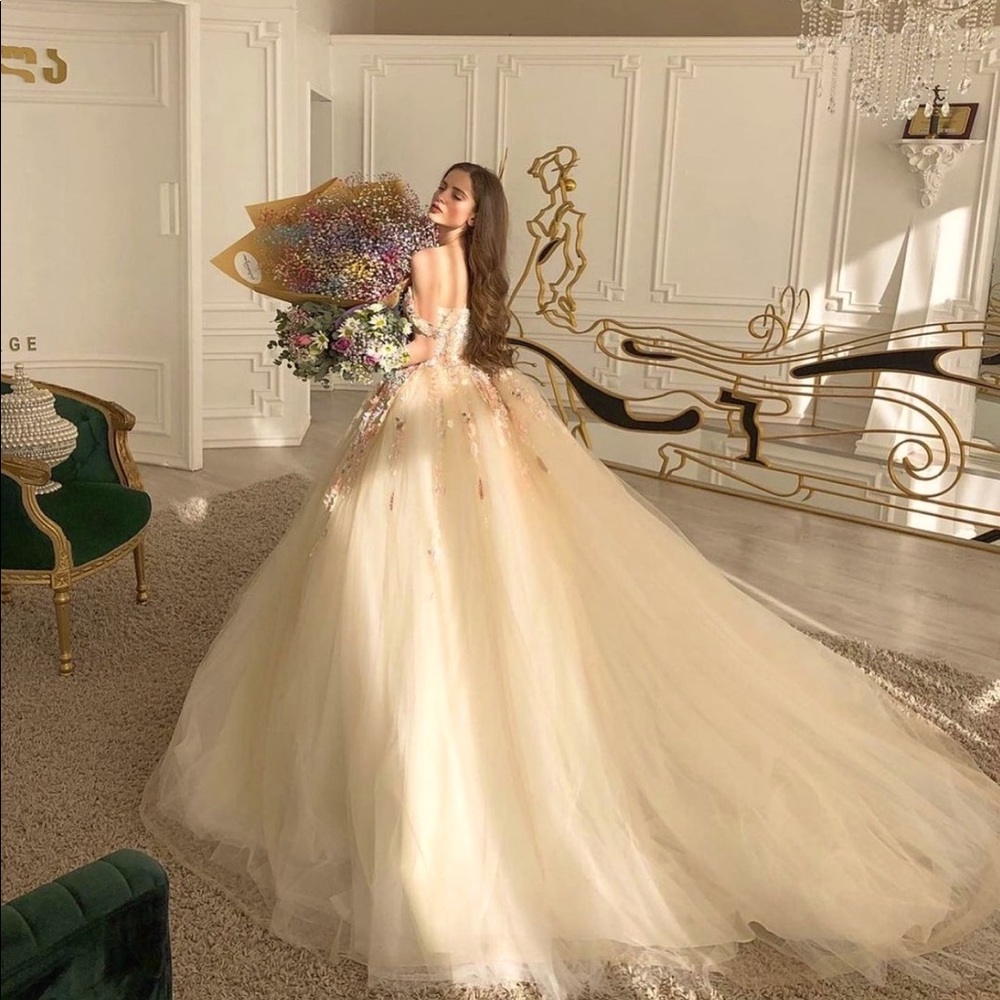 Brand new gorgeous fairy princess dress!